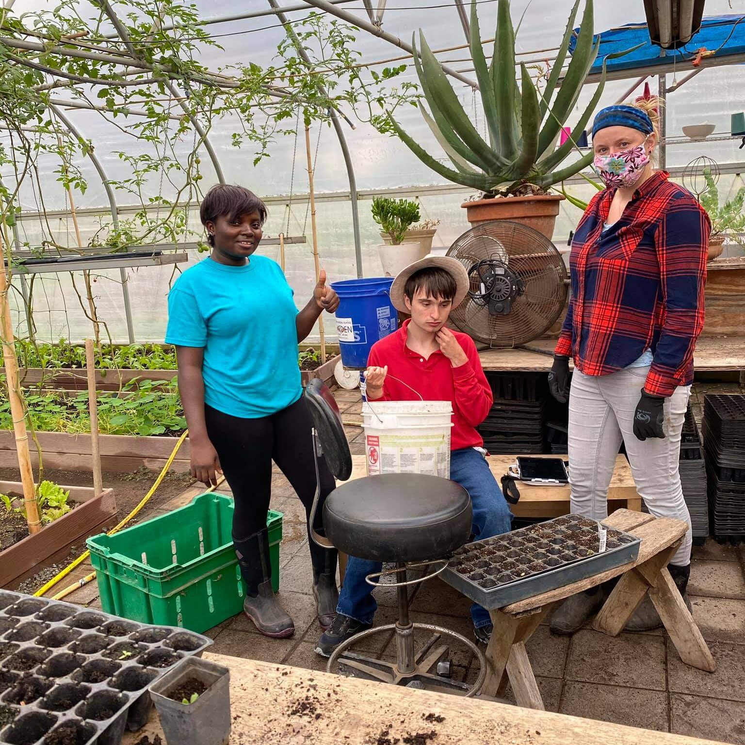 Three people working in a greenhouse