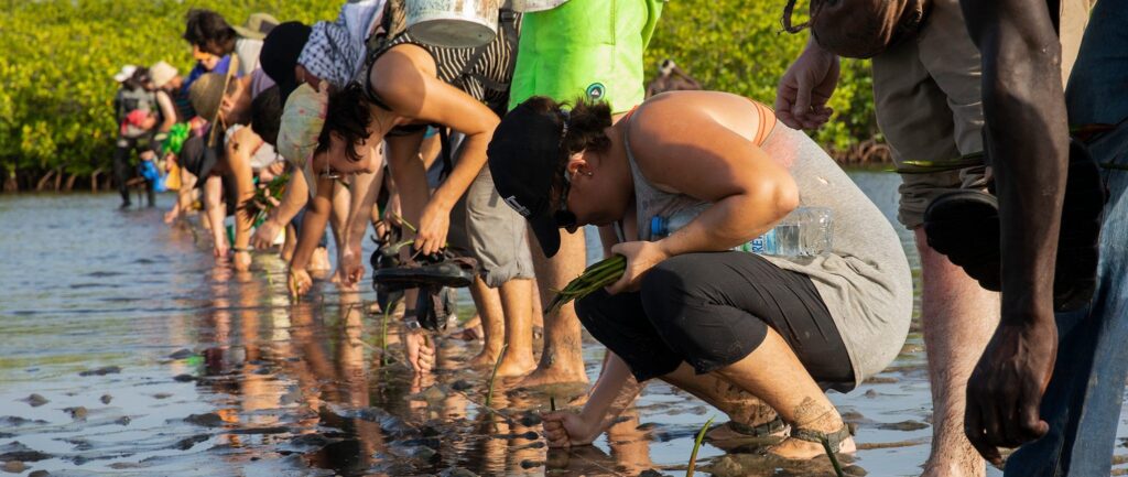 A line of people working on a project in a shallow river