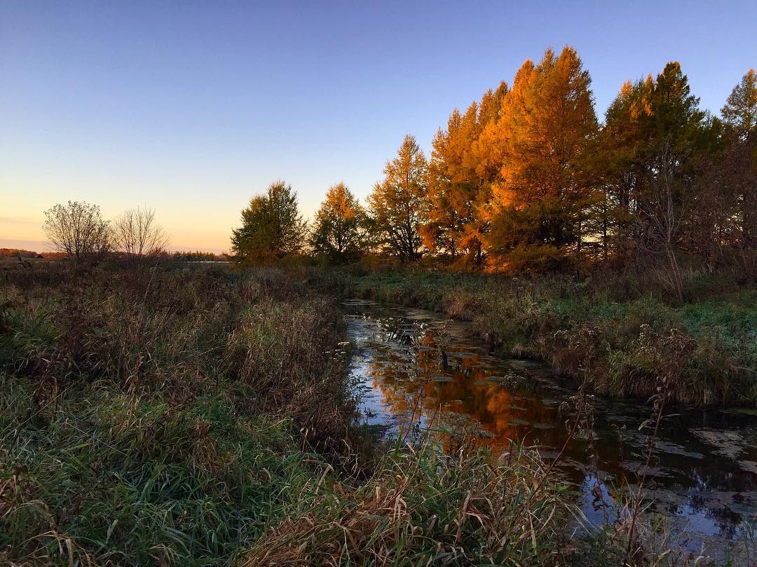 Fall foliage catches sunset light over a shallow brook