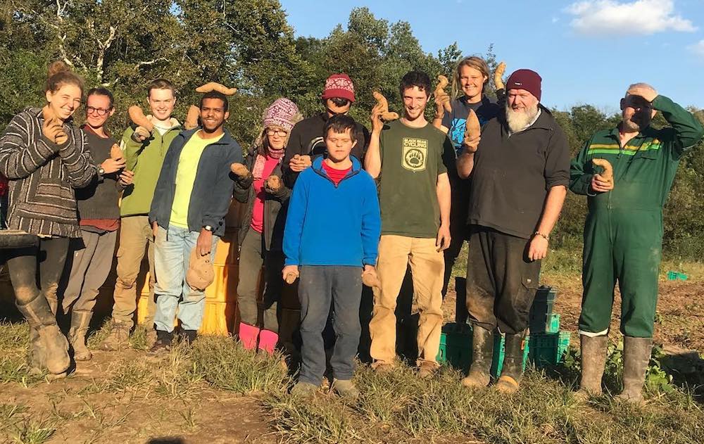 A group of people hold up sweet potatoes in the late afternoon sun. One balances a sweet potato on his head.