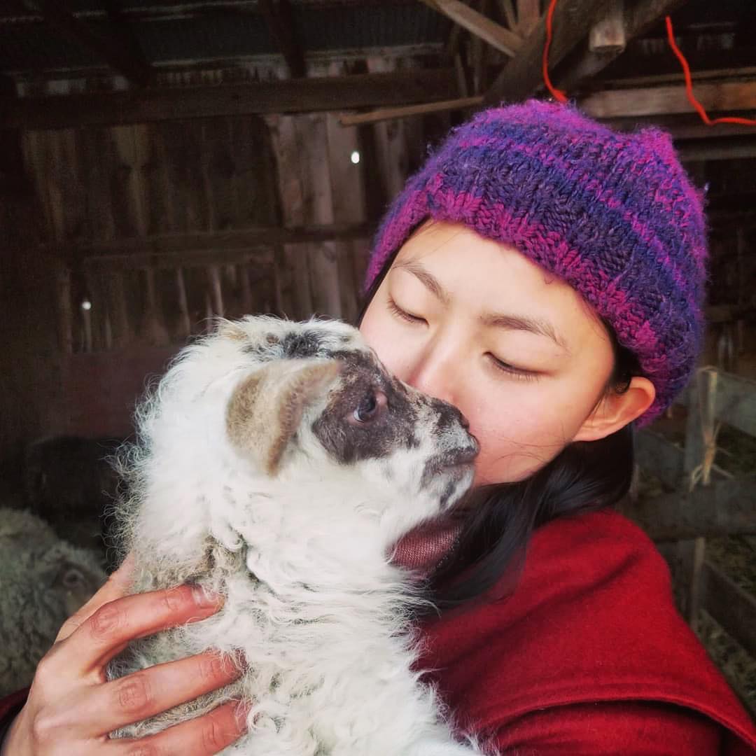 A woman in a purple knit hat holds a baby sheep