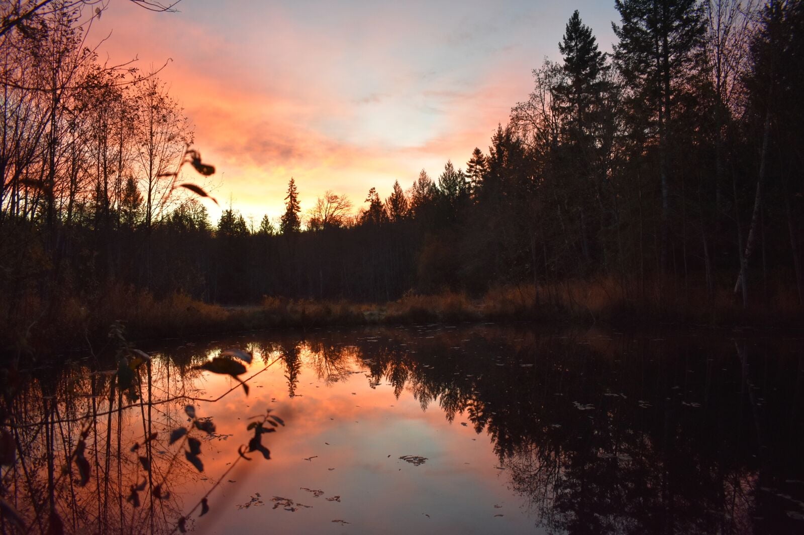 A pink sunset over a beautiful lake surrounded by trees