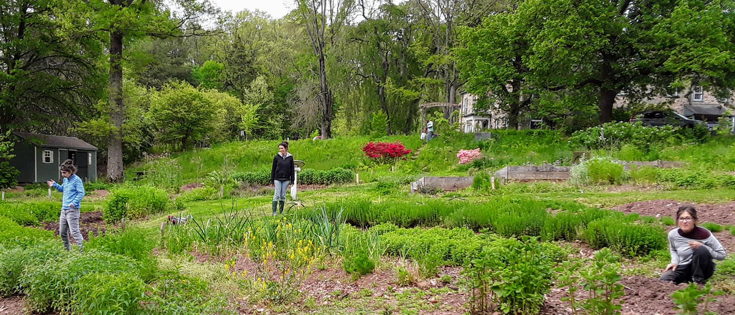 Three people scattered around a garden space at Camphill