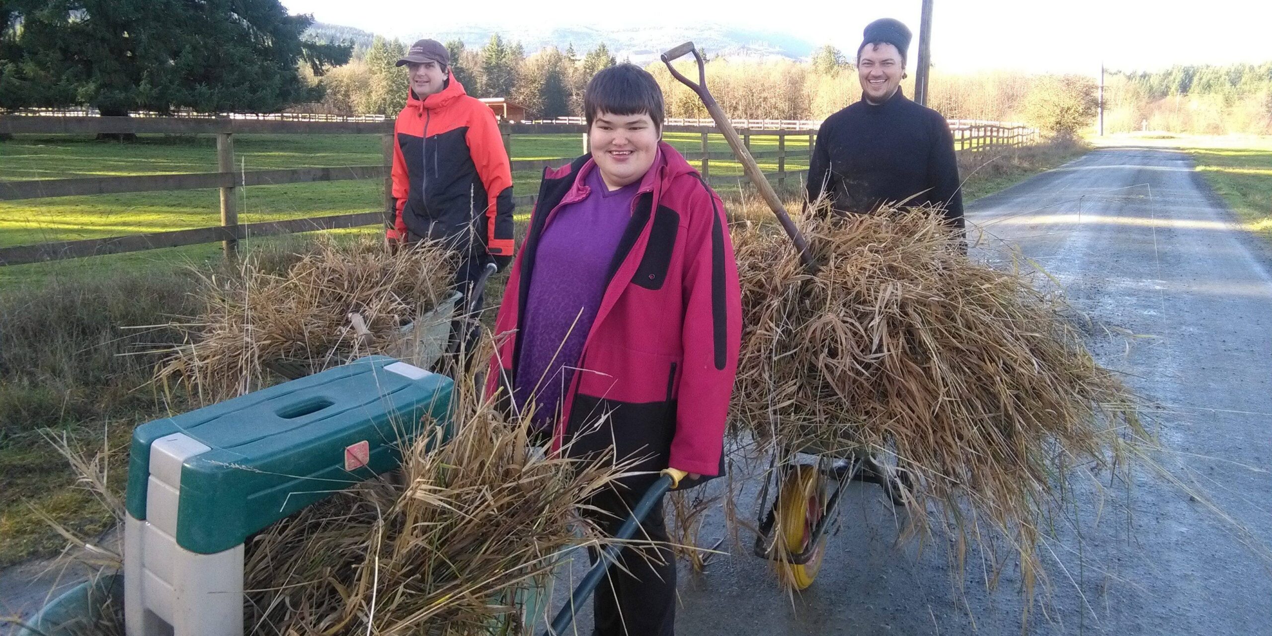 Three people push wheelbarrows full of hay down a road.