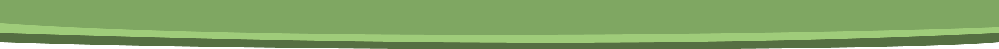 Green bottom border
