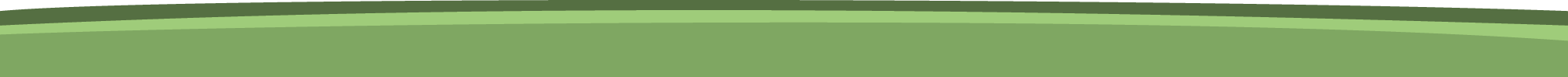 Green top border