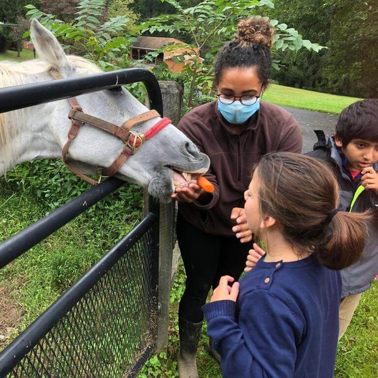 Two children and an adult feed carrots to a white and gray horse.