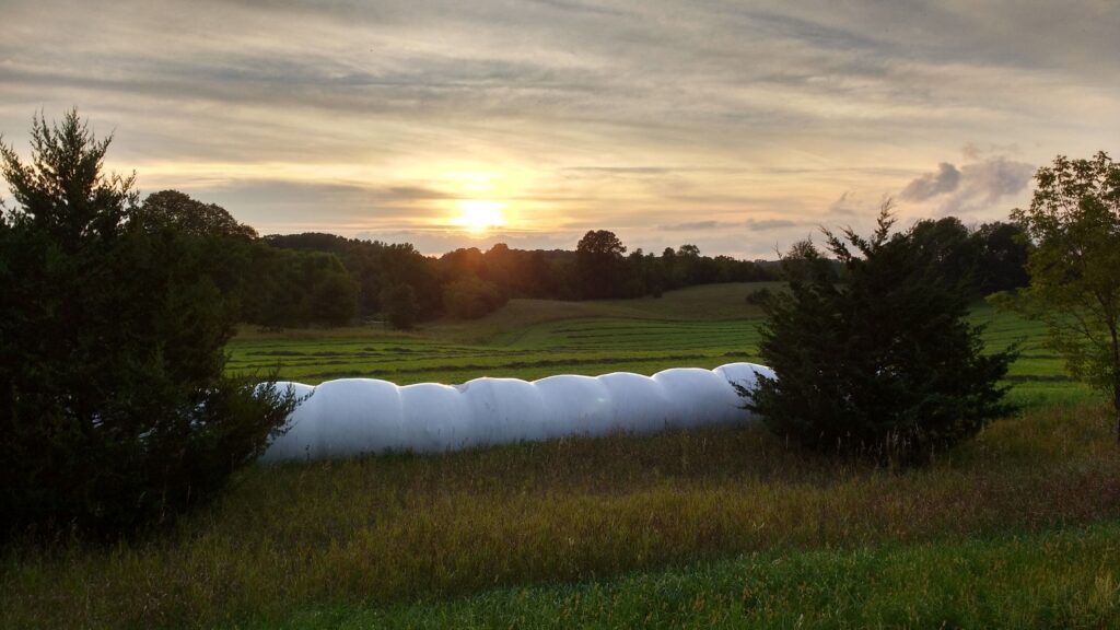 A sunset over a wide green field with white-wrapped hay bales in the foreground