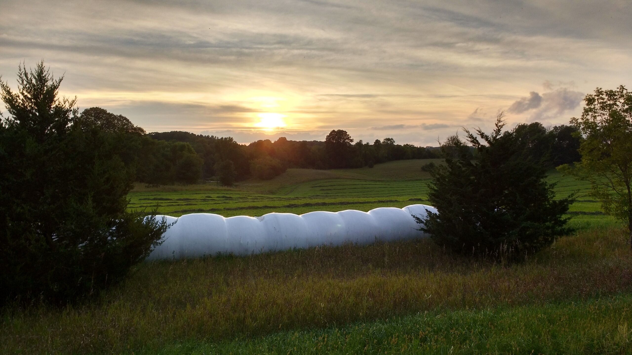 A sunset over a wide green field with white-wrapped hay bales in the foreground