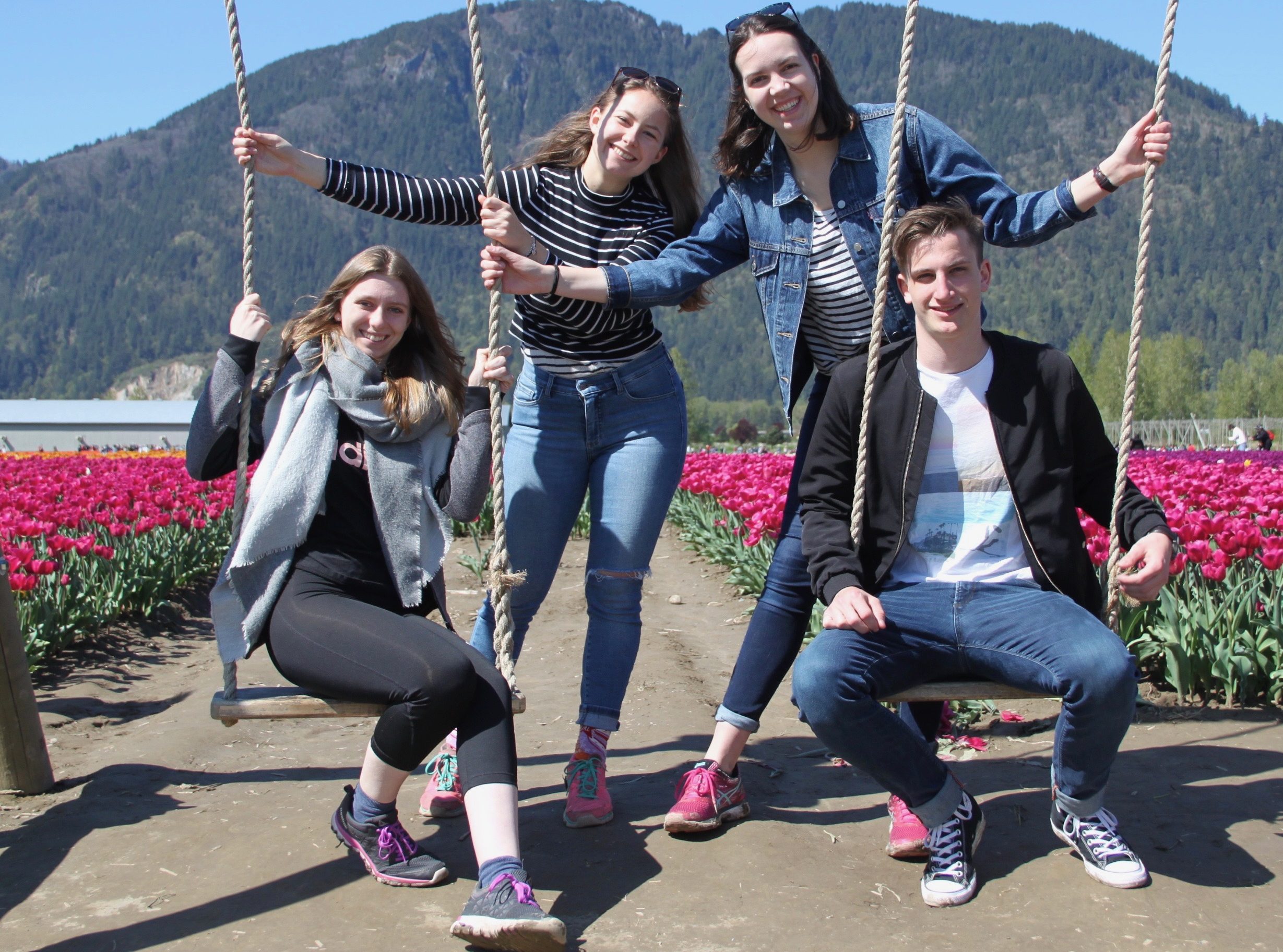 Four people pose on wooden swings in front of a field of pink tulips