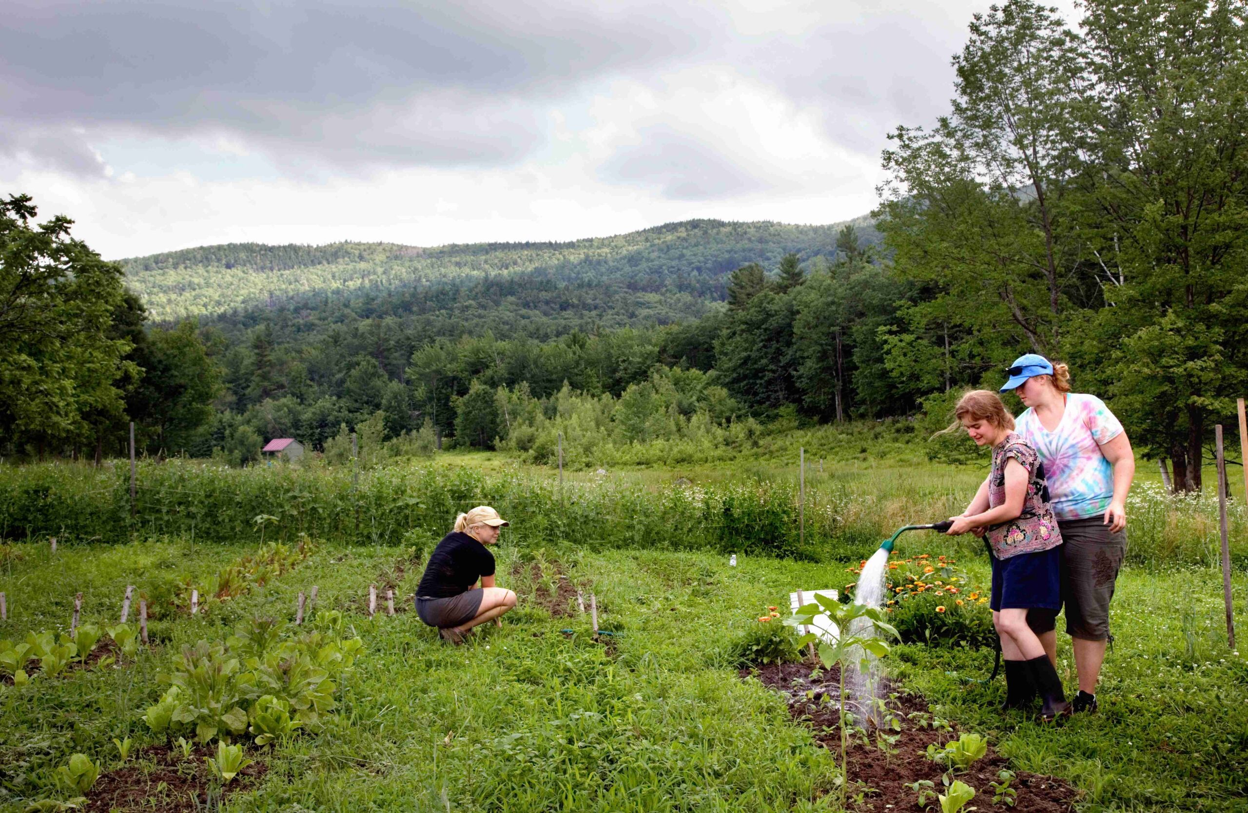 People watering gardens at Plowshare Farm