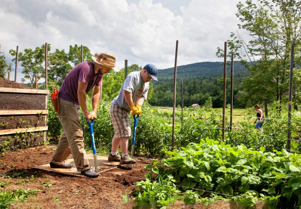 People working in a garden