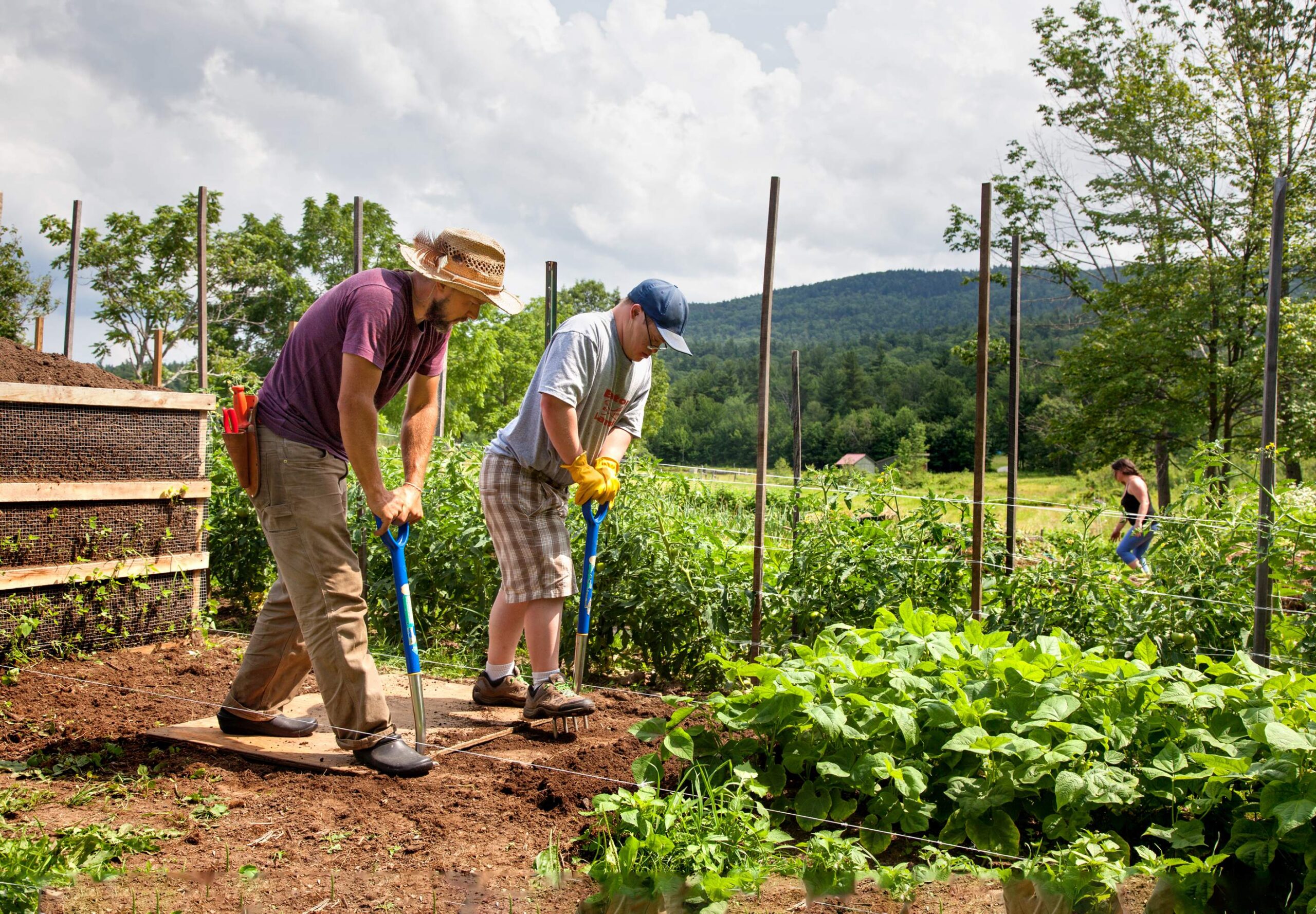 People working in a garden