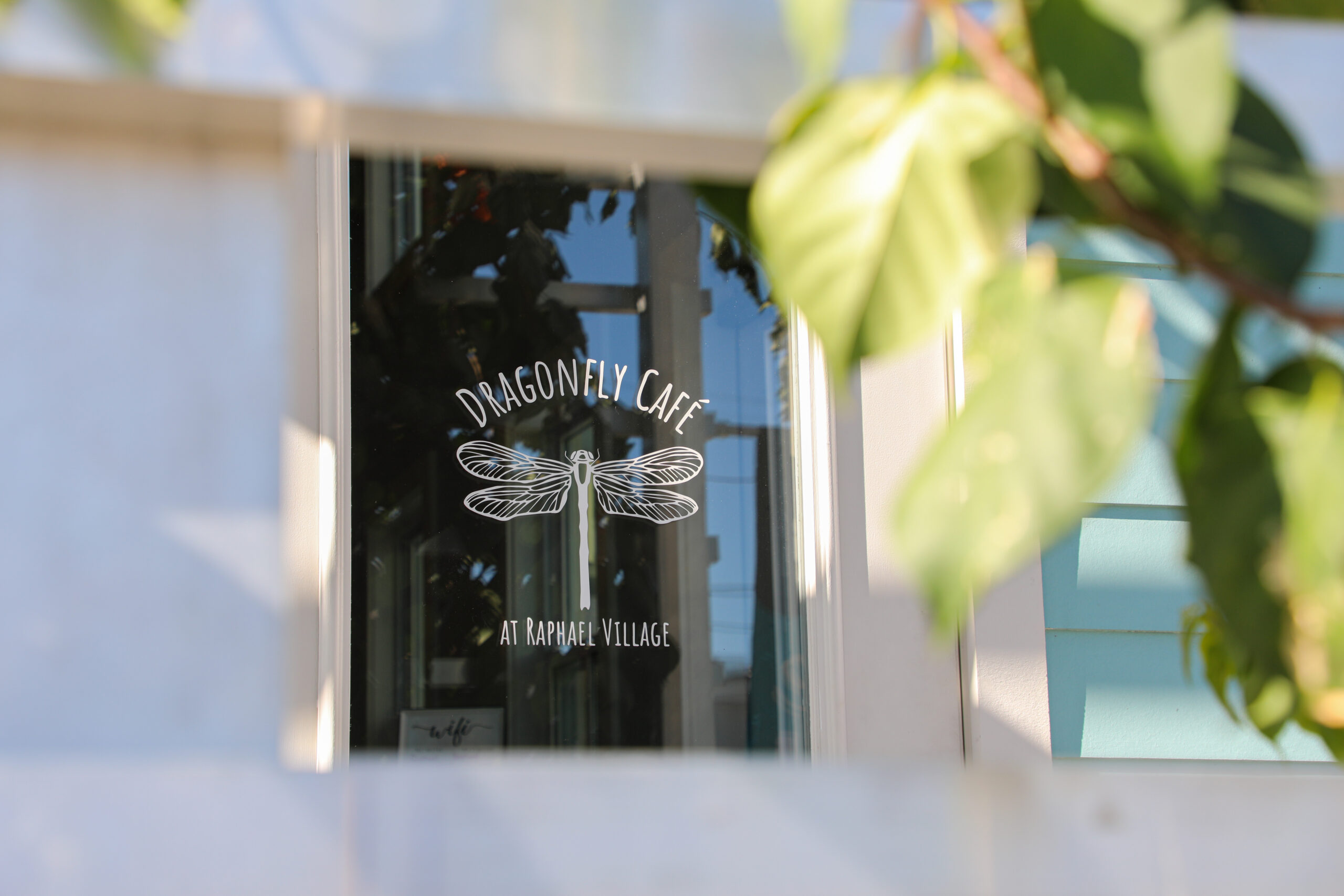 The Dragonfly Cafe logo in a window framed by leaves on a tree