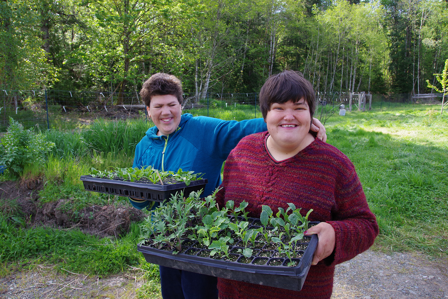 Two people holding trays full of plant starts in a garden