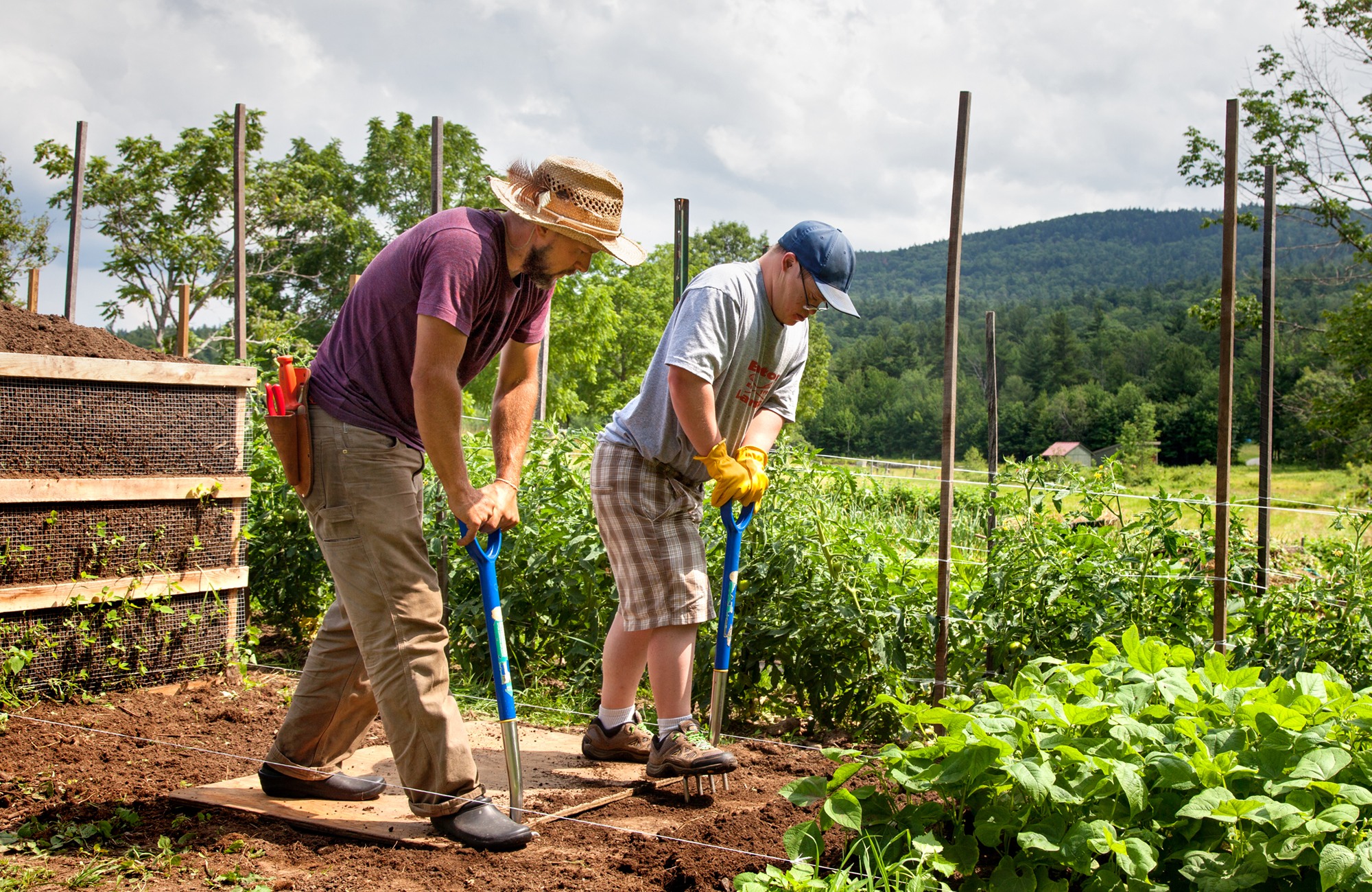 Two men digging in a garden