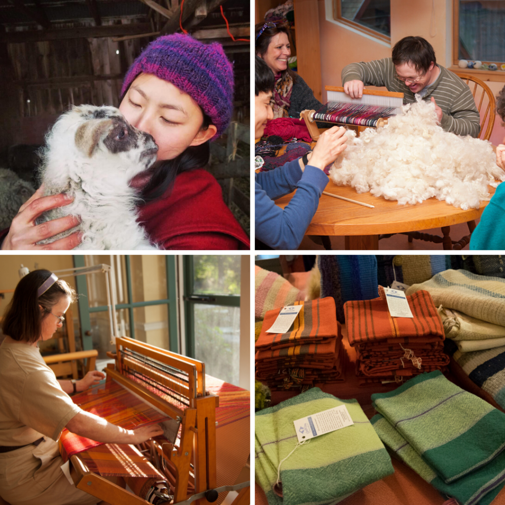 A start-to-finish collage of cloth production at Camphill. At the top left, a girl in a purple hat holds a baby lamb. At the top right, a group of smiling people cards new wool and threads a rigid heddle loom with colorful yarn. At the bottom left, a young woman weaves a red-and-orange fabric on a floor loom. At the bottom right, handwoven fabrics sit together on a table, labeled for sale.