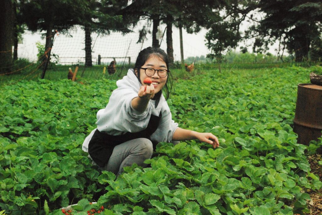 A young woman holds up a strawberry to the camera with a grin, crouching in a field of strawberry plants.
