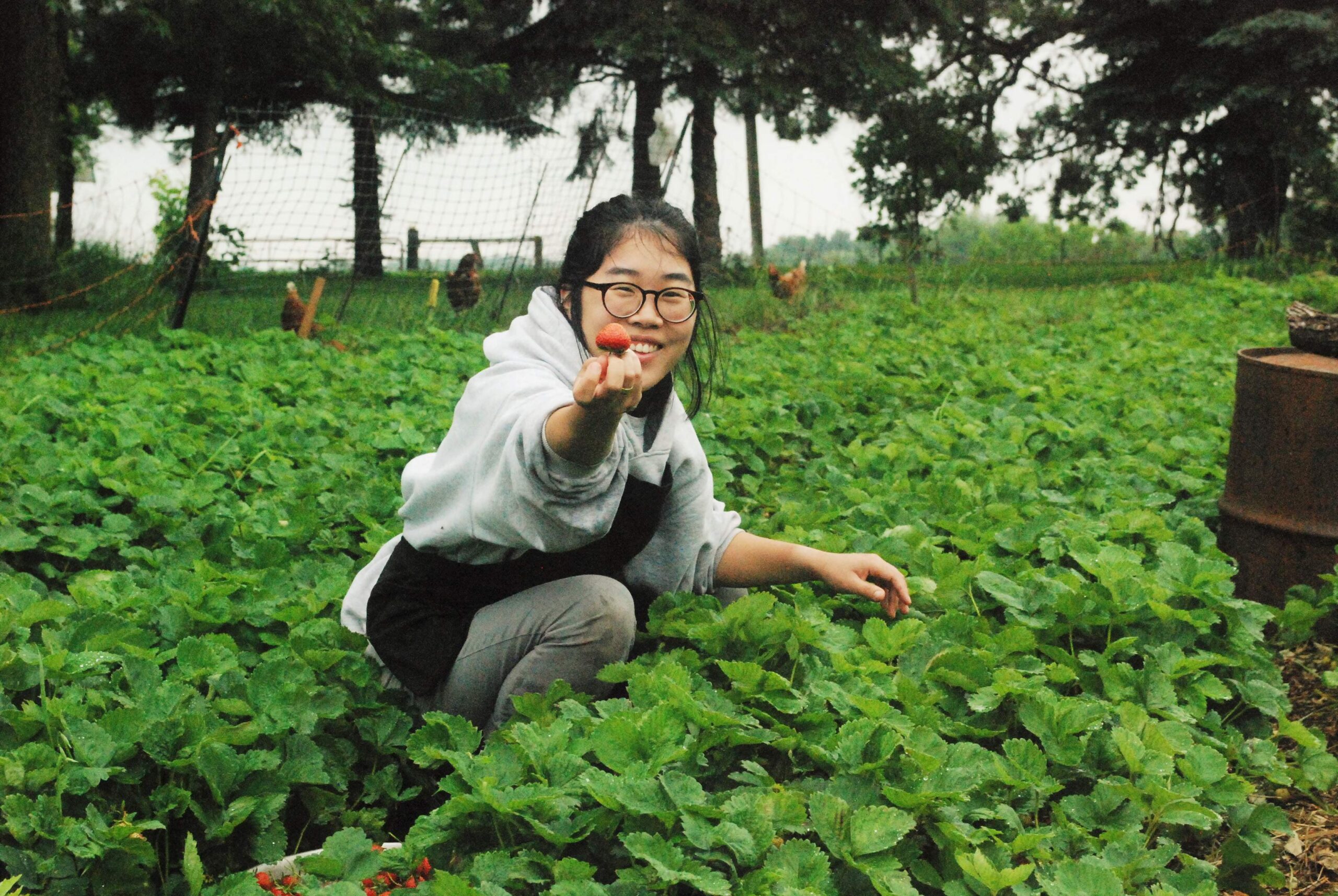 A young woman holds up a strawberry to the camera with a grin, crouching in a field of strawberry plants.