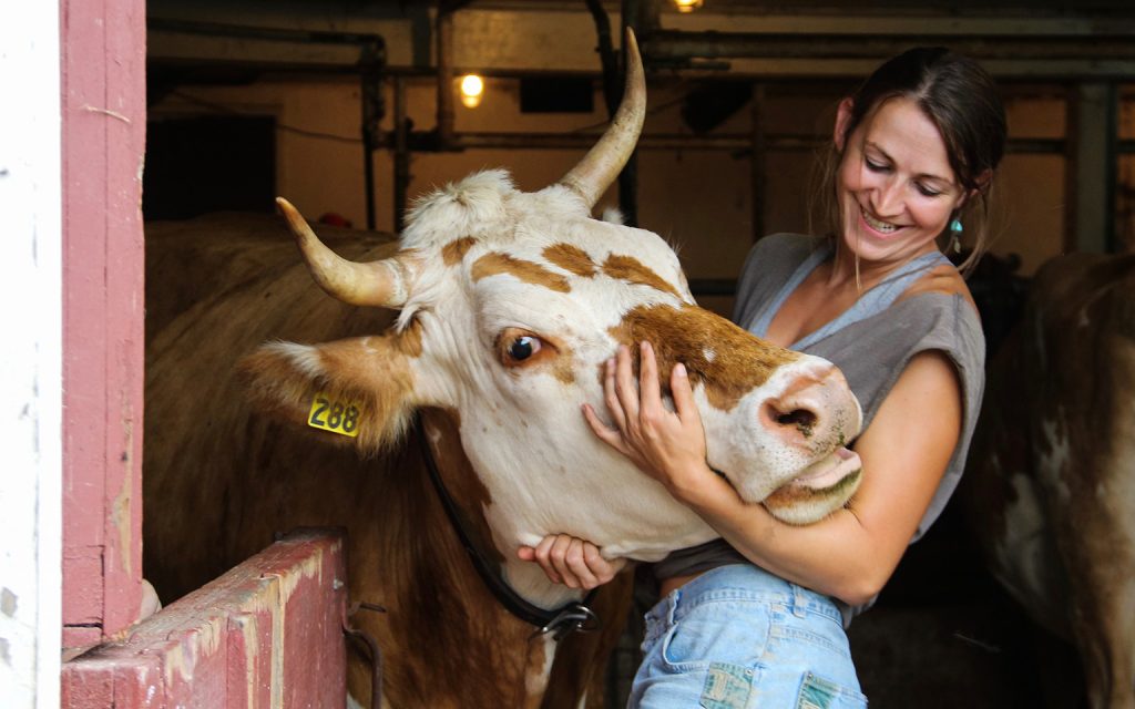 A woman hugs a cow in a barn and smiles.