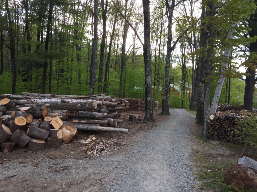 Gravel path through the woods. to the side is a pile of lumber and chopped firewood