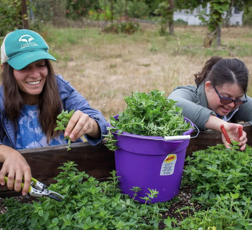 Valentina and Alexis harvest herbs