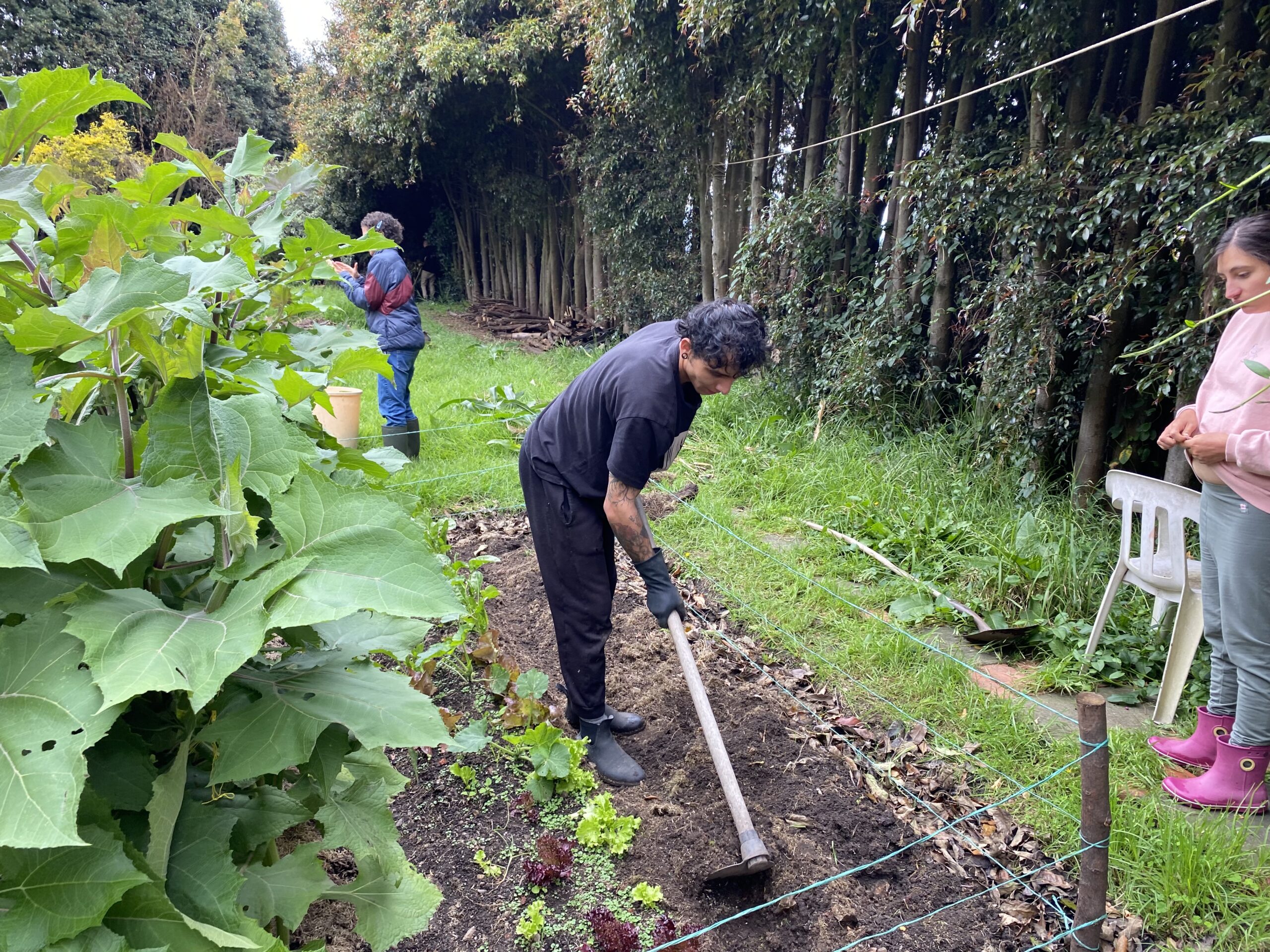 Working in the garden